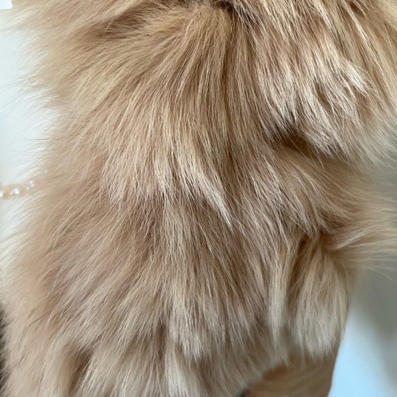 🍂Tan Suede Moto Jacket with Real Fox Fur Trim Size M - Picture 5 of 10